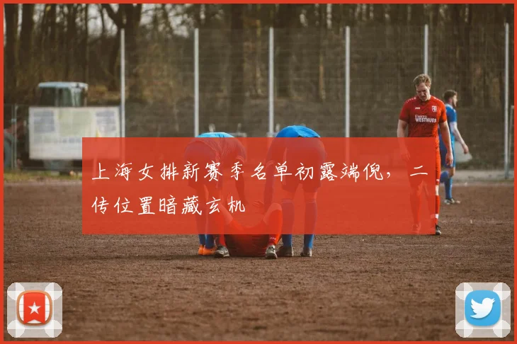 上海女排新赛季名单初露端倪，二传位置暗藏玄机