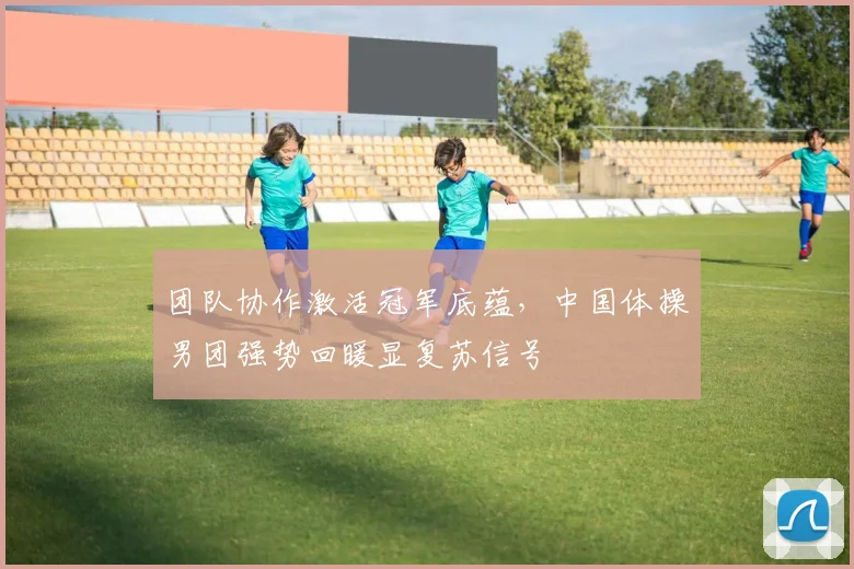 团队协作激活冠军底蕴，中国体操男团强势回暖显复苏信号